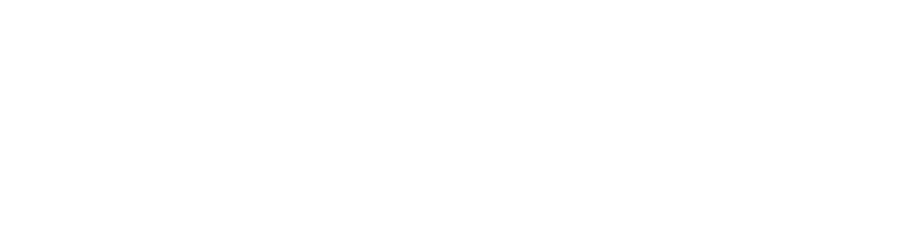 HSM Aries white wordmark